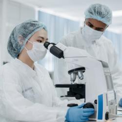 Researchers conducting experiments in a laboratory